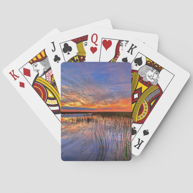 Colourful Everglades, Florida, Playing Cards (Back)
