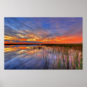 Colourful Everglades, Florida, Poster