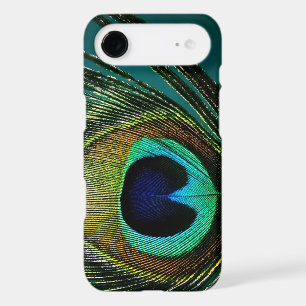 Colourful Exotic Peacock Feather Modern Photograph