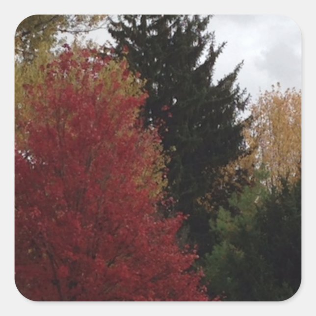 Colourful Fall Autumn Trees Custom Stickers (Front)