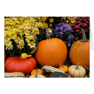 Colourful fall decorative pumpkin display