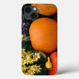 Colourful fall decorative pumpkin display iPhone 13 case