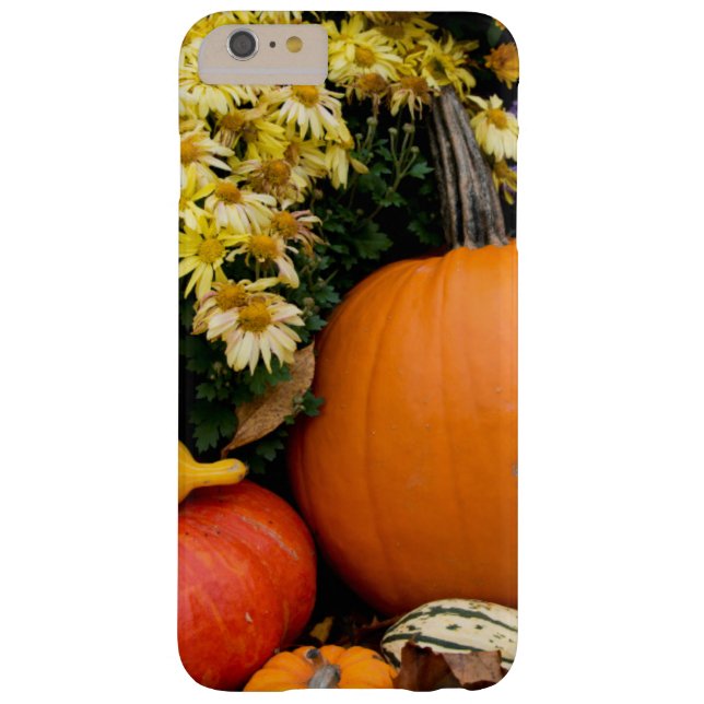 Colourful fall decorative pumpkin display Case-Mate iPhone case (Back)