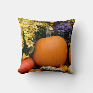 Colourful fall decorative pumpkin display cushion