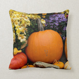 Colourful fall decorative pumpkin display cushion