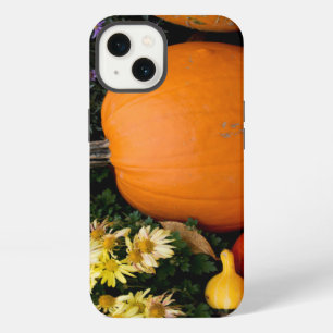 Colourful fall decorative pumpkin display iPhone case