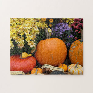 Colourful fall decorative pumpkin display jigsaw puzzle