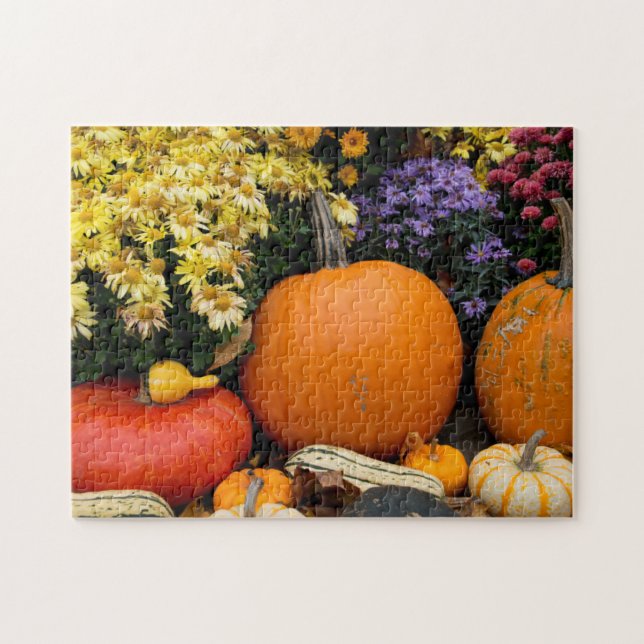 Colourful fall decorative pumpkin display jigsaw puzzle (Horizontal)