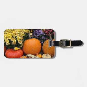 Colourful fall decorative pumpkin display luggage tag