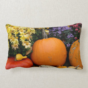 Colourful fall decorative pumpkin display lumbar cushion