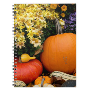 Colourful fall decorative pumpkin display notebook