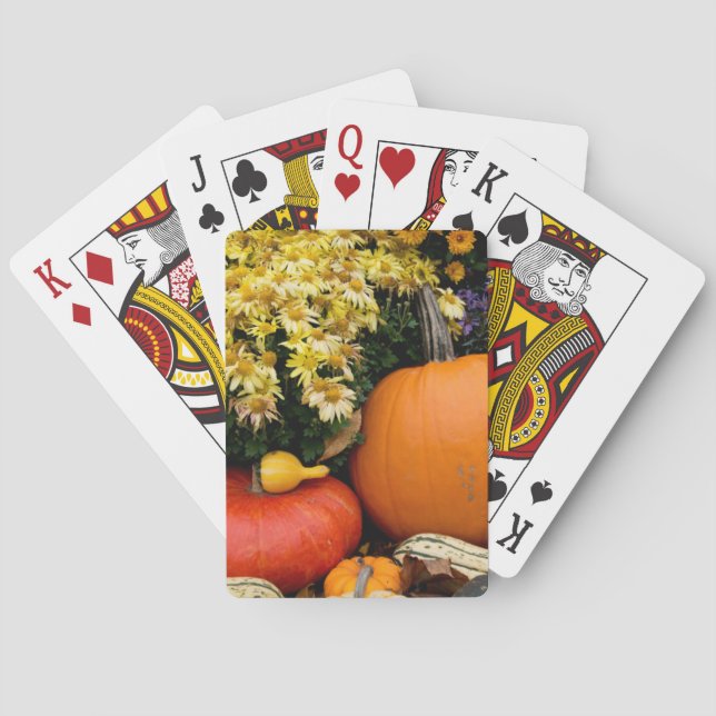 Colourful fall decorative pumpkin display playing cards (Back)