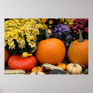 Colourful fall decorative pumpkin display poster