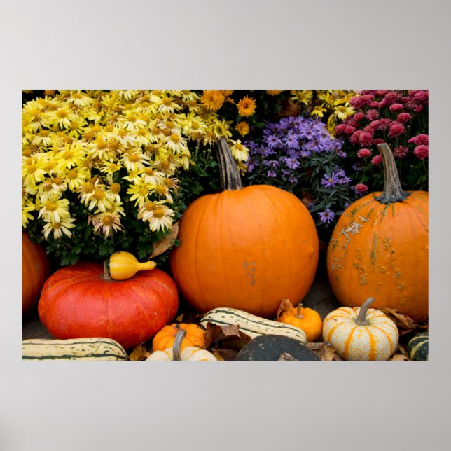 Colourful fall decorative pumpkin display poster (Front)