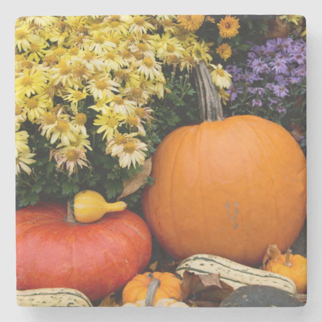 Colourful fall decorative pumpkin display stone coaster (Front)
