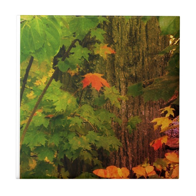 Colourful fall leaf ceramic tile (Front)