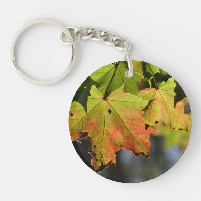 Colourful fall leaves key ring (Front)