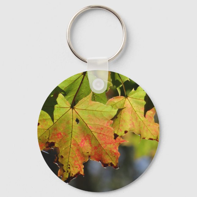 Colourful fall leaves key ring (Front)