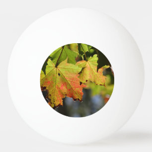Colourful fall leaves ping pong ball