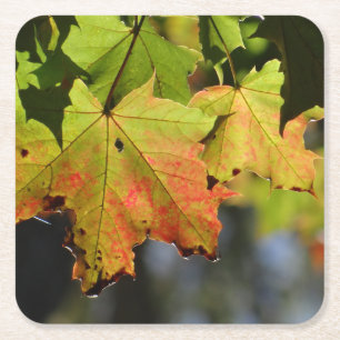 Colourful fall leaves square paper coaster