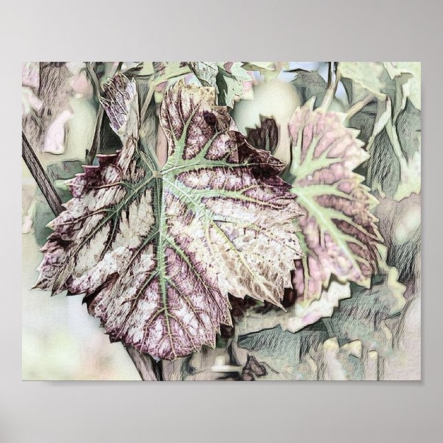 Colourful Fall leaves with fall colours drawing  Poster (Front)