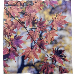 Colourful Fall leaves with fall colours watercolor Shower Curtain