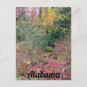 Colourful Fall Tree Collage Postcard