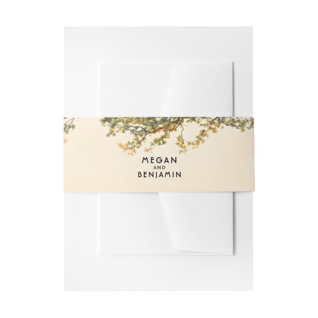 Colourful Fall Tree Leaves and Branches Rustic Invitation Belly Band (Front Example)