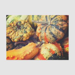 Colourful Fancy Gourds Close Up Decoupage Tissue Paper