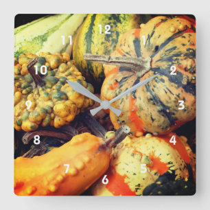 Colourful Fancy Gourds Close Up  Square Wall Clock