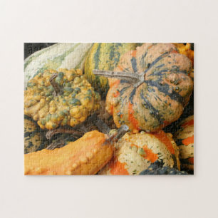Colourful Fancy Gourds Fall  Jigsaw Puzzle