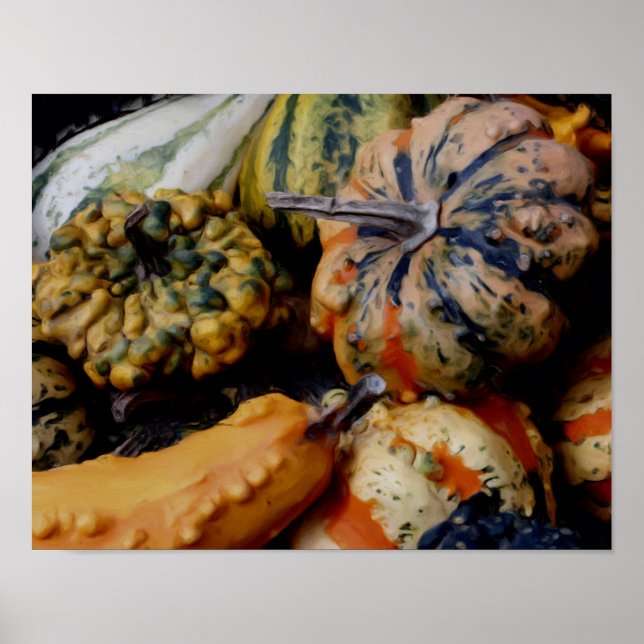 Colourful Fancy Gourds Photo Oil Painting Poster (Front)
