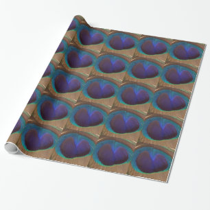 Colourful Feather Wrapping Paper