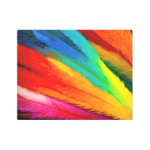 Colourful Feathers