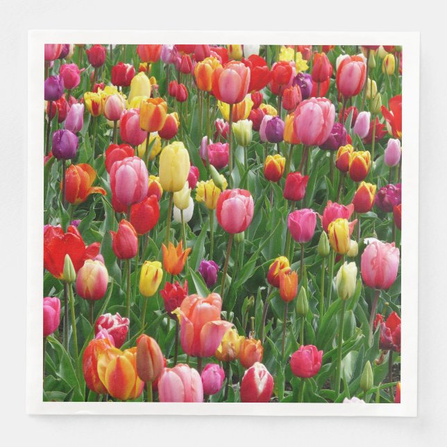 Colourful Field Of Tulips Flowers Paper Napkins (Front)