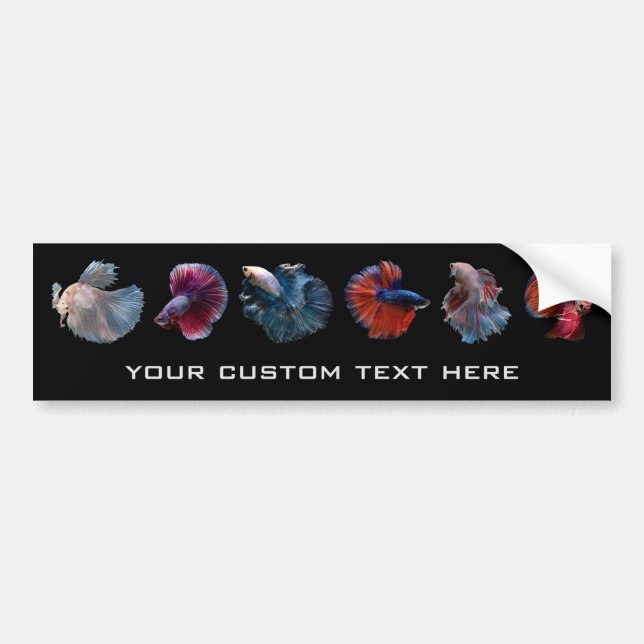 Colourful Fish custom text bumpersticker Bumper Sticker (Front)