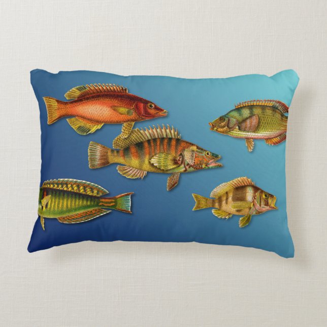 Colourful Fish Decorative Cushion (Back)