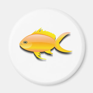 Colourful fish design magnet