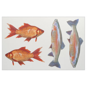 Colourful Fish Fat Quarter Fabric
