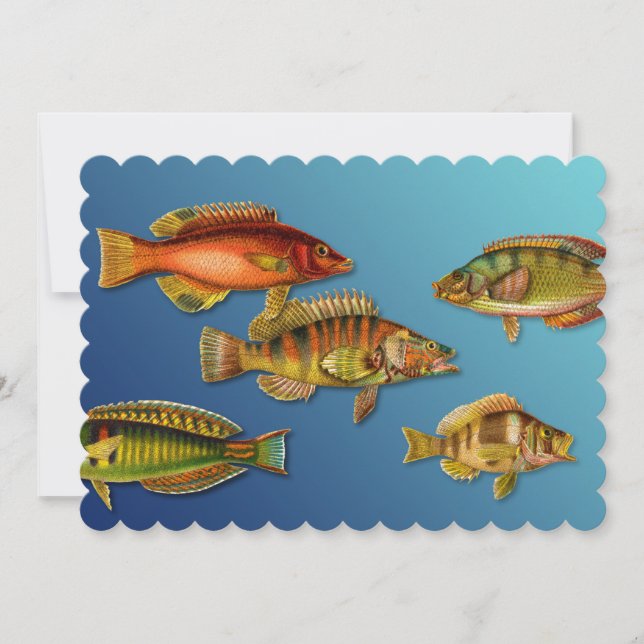 Colourful Fish Invitation (Front)