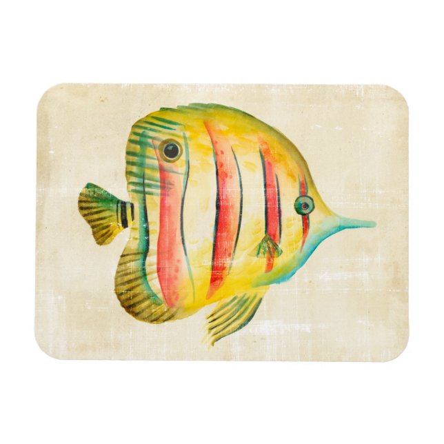 Colourful Fish Magnet (Horizontal)