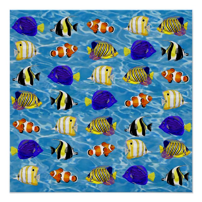 Colourful fish  poster (Front)