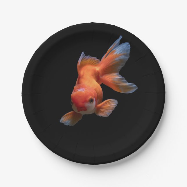 Colourful Fish Print Art Using Paper Plates (Front)