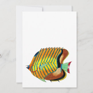 Colourful fish Thank you card