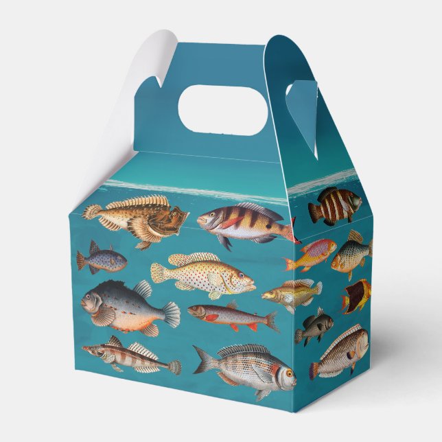 Colourful Fish Under Blue Ocean Water   Favour Box (Front Side)