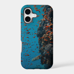 Colourful Fishes And Reefs