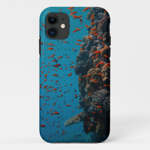 Colourful Fishes And Reefs iPhone 11 Case