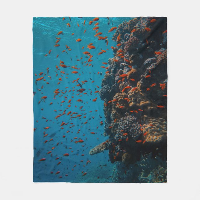 Colourful Fishes And Reefs Fleece Blanket (Front)