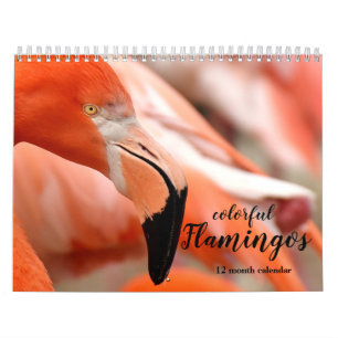 Colourful Flamingos 2027 Calendar