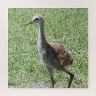 Colourful Florida Sandhill Cranes Wildlife Photo Jigsaw Puzzle